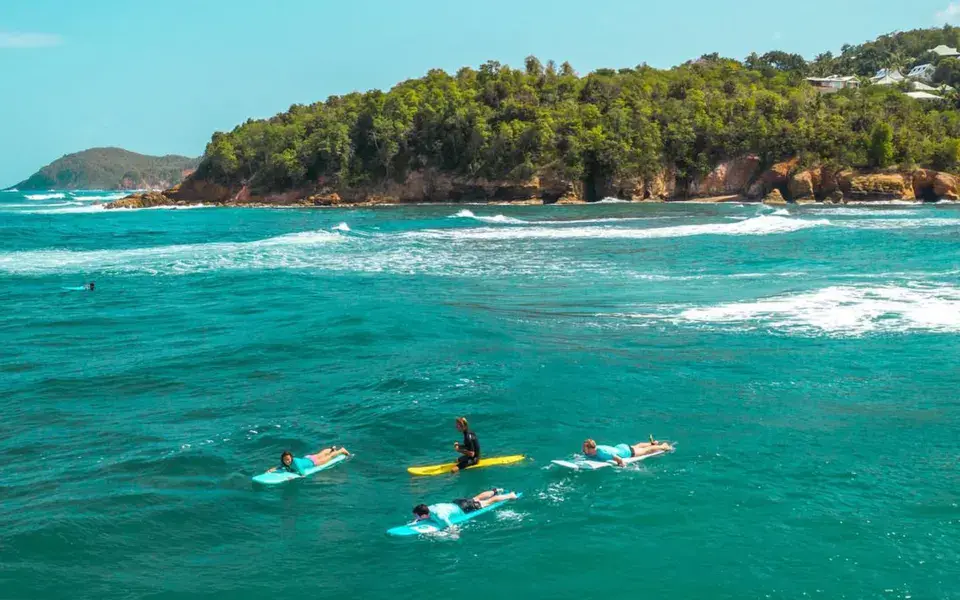 Groupe de surfeurs sur l'eau, au large d'une côte boisée