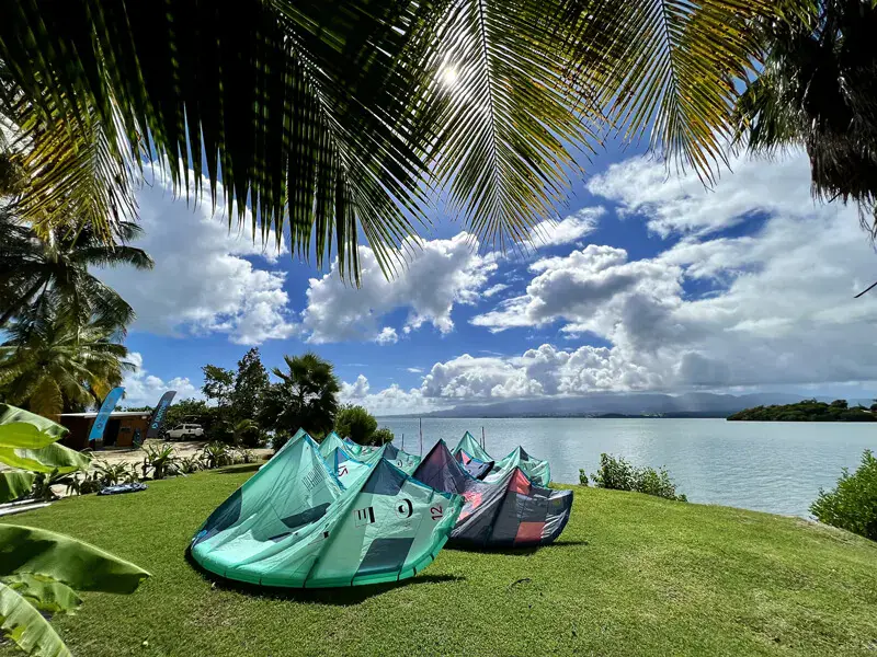 Kites posés sur la pelouse au bord du lagon