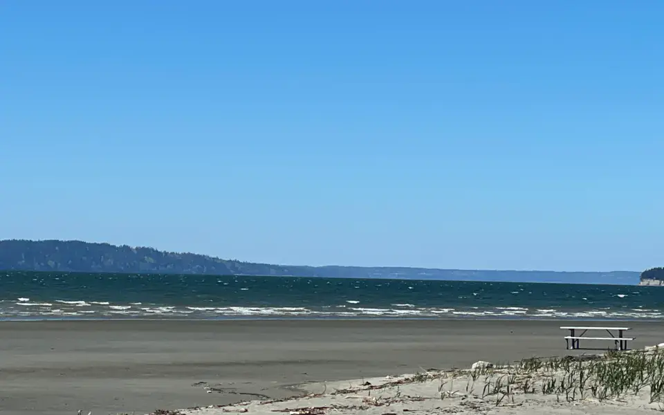 Jetty Island — photo 1