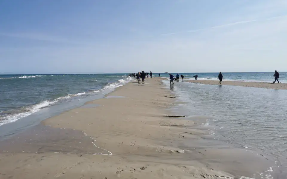 Skagen — photo 1