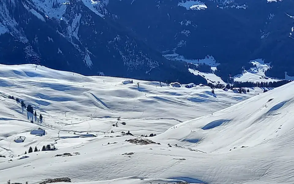 Isenau Snowkite — photo 1