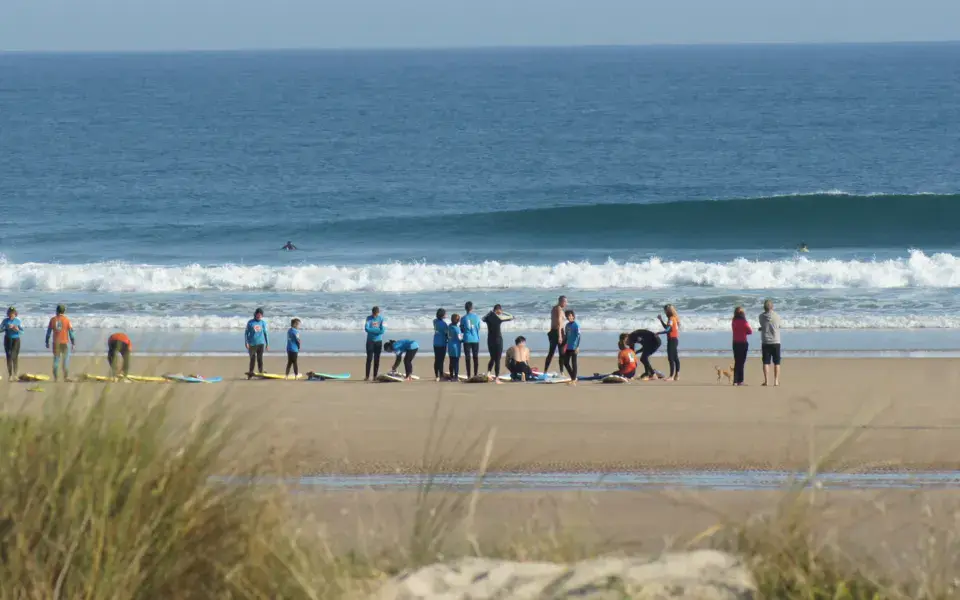 El Palmar — photo 1