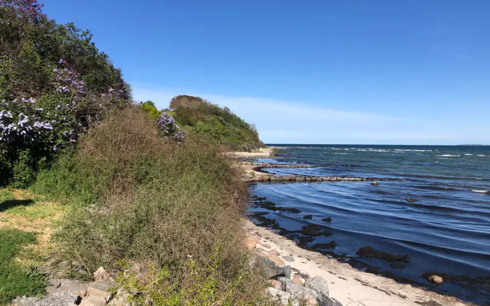 Plage près de Klein Zicker, Rügen — Sabänschen, CC BY-SA 4.0, Wikimedia Commons