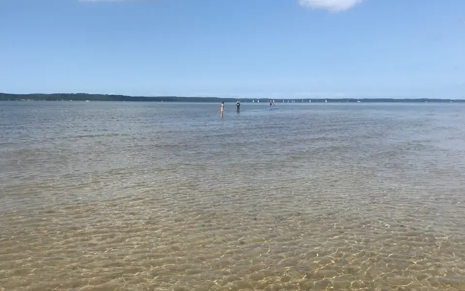 Etang de Cazaux et de Sanguinet, lieu dit "Mayotte" — photo 1