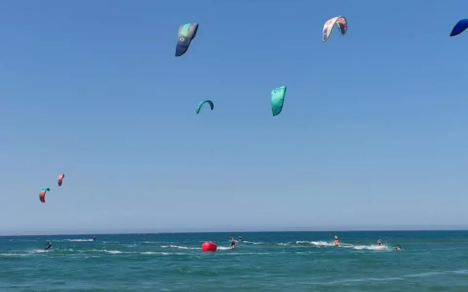 Cap ivi (kite) — photo 1