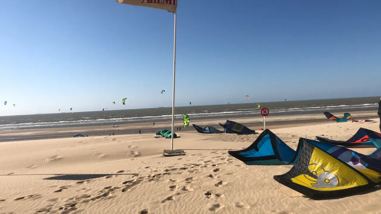 Spot de de haan | le coq