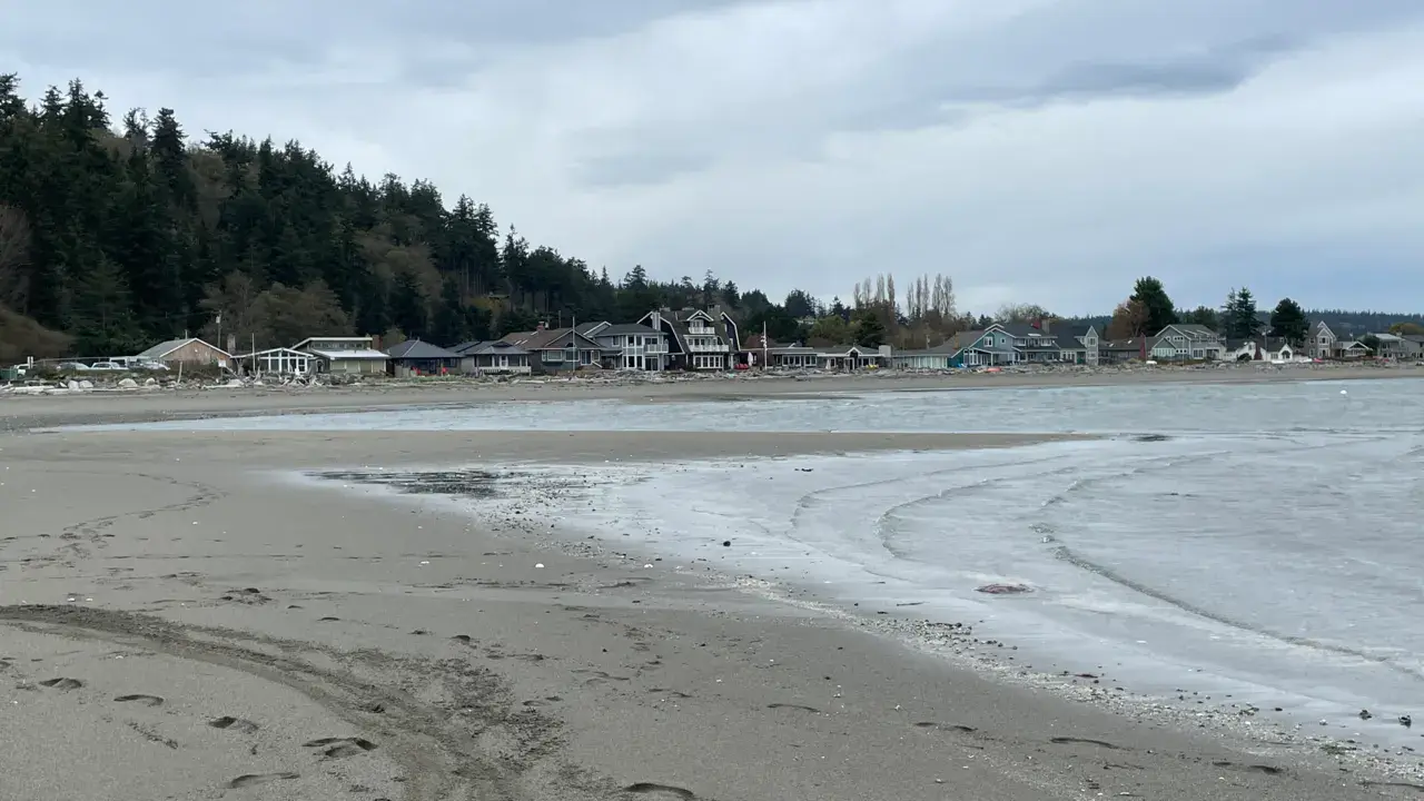Double Bluff / Whidbey Island spot