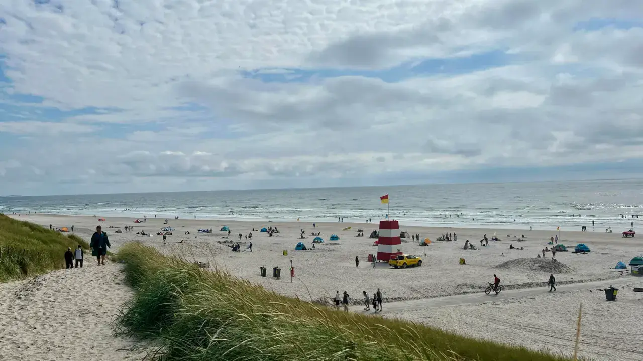 Spot de Hvide Sande