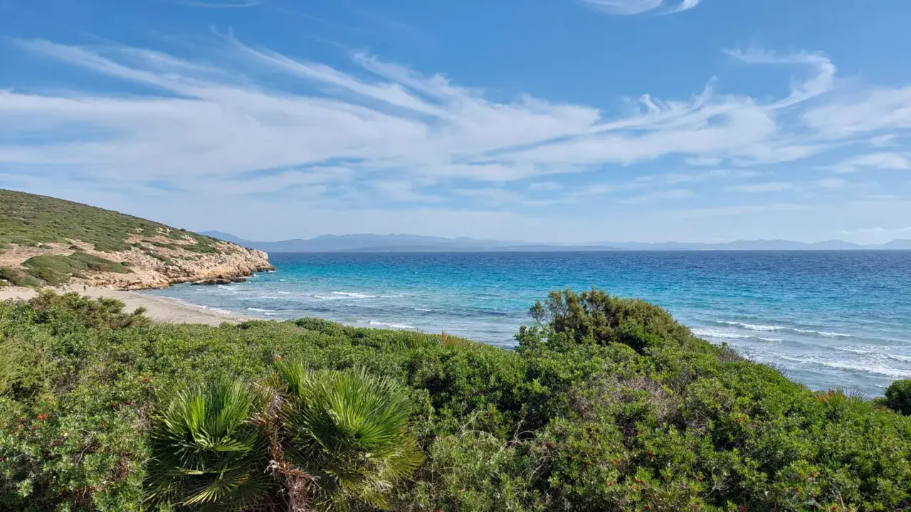 Spot de sardinia | coequaddus