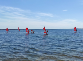 Planches à voile sur l'étang