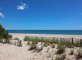 Dune et plage du spot du club
