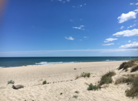 La plage du spot du Pont des Basses