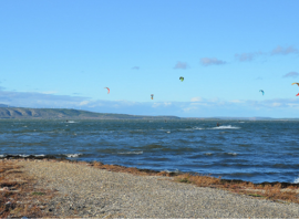 Kitesurfeurs sur l'étang de Salses-Leucate, côté Saint-Laurent-de-la-Salanque