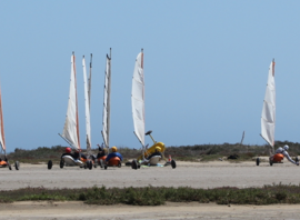 Chars à voile sur la plage des Coussoules, à La Franqui