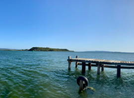 Le ponton de Port Mahon et l'étang de Bages-Sigean