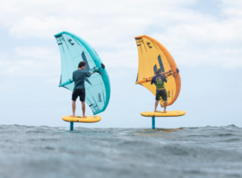 Deux pratiquants en wingfoil