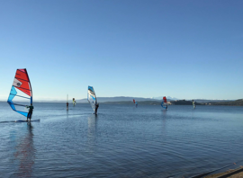 Planches à voile sur l'étang