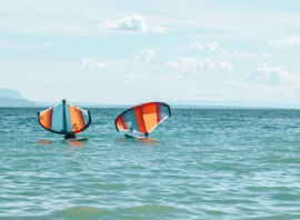 Deux wings sur le Léman