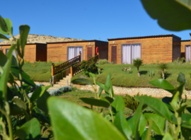 Les bungalows et leur jardin