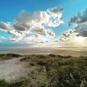 Slufter, Maasvlakte - photo 8