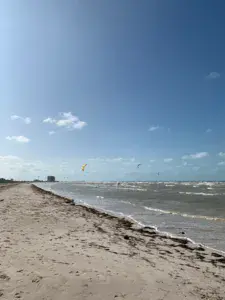 Progreso (el Playon) - photo 8