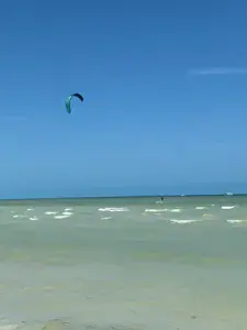 Progreso (el Playon) - photo 12