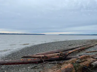 Iverson Trail / Camano Island - photo 4