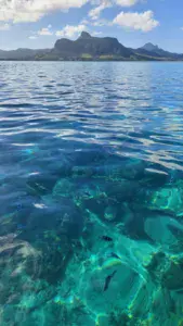 Pointe Jérome - photo 5