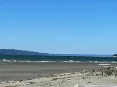 Jetty Island - photo 1