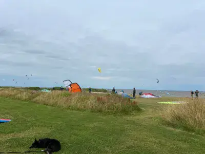 Hvide Sande Nord / Ringkobing Fjord - photo 9