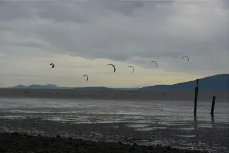 Locust Avenue - photo 3