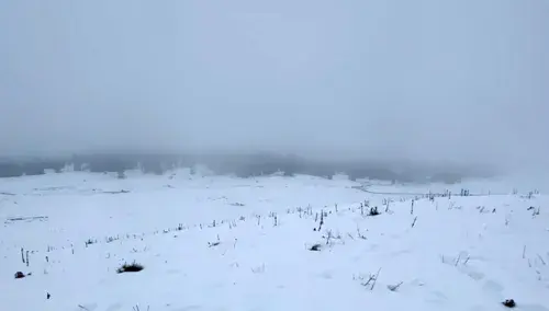 Col du Marchairuz - photo 2