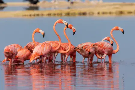 Progreso (el Playon) - photo 2