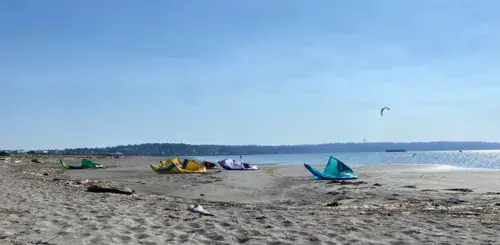 Jetty Island - photo 4