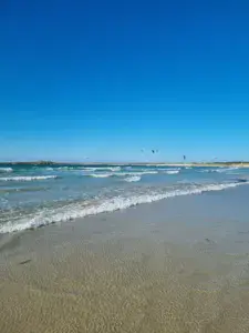 La Torche  - photo 1