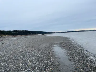 Iverson Trail / Camano Island - photo 6