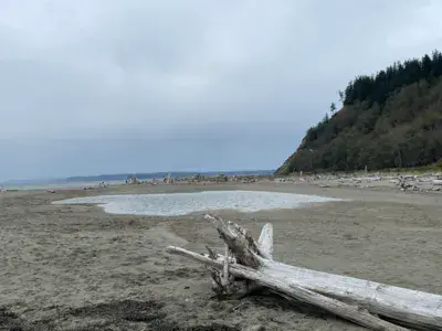 Double Bluff / Whidbey Island - photo 5