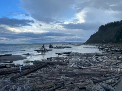 Double Bluff / Whidbey Island - photo 7