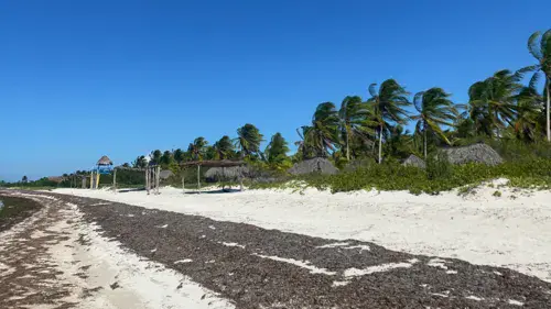 Progreso (el Playon) - photo 4