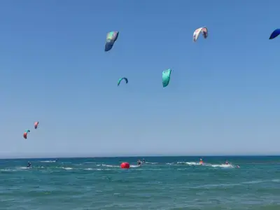 Cap ivi (kite) - photo 1
