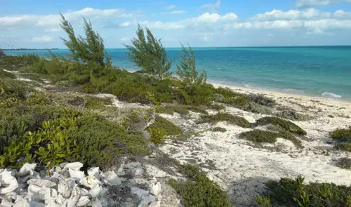 Long Bay Beach - photo 2