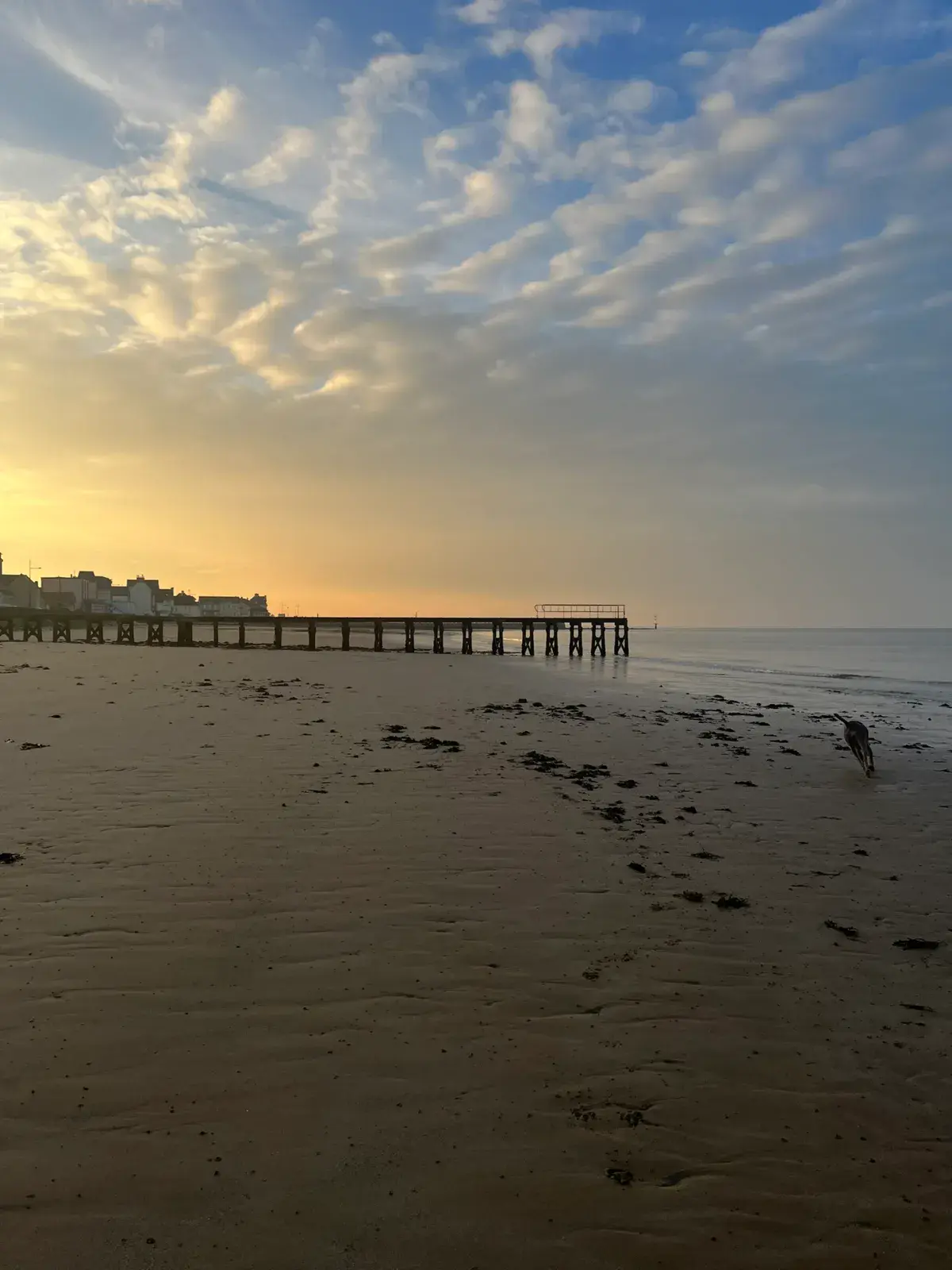 Spot de Grandcamp