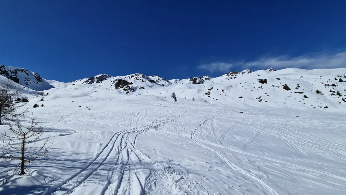 Spot de Vallon d'Orzival
