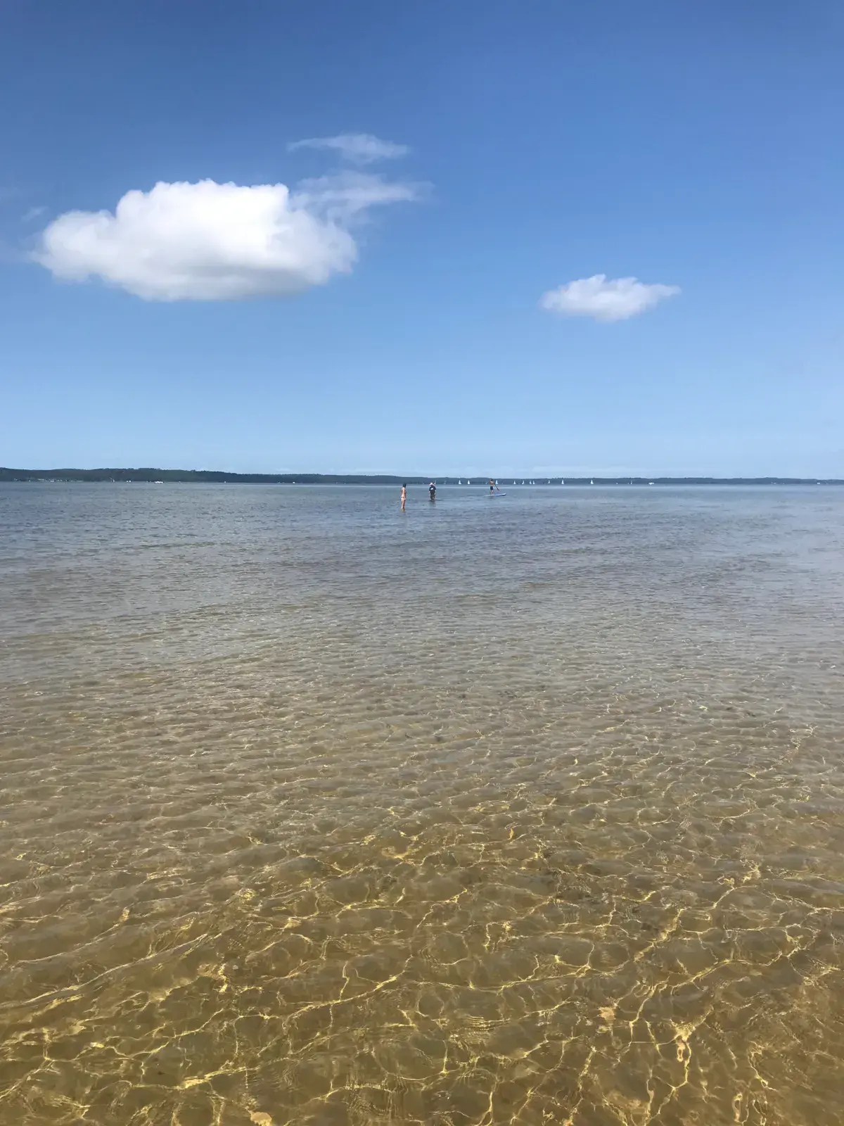 Spot de Etang de Cazaux et de Sanguinet, lieu dit "Mayotte"