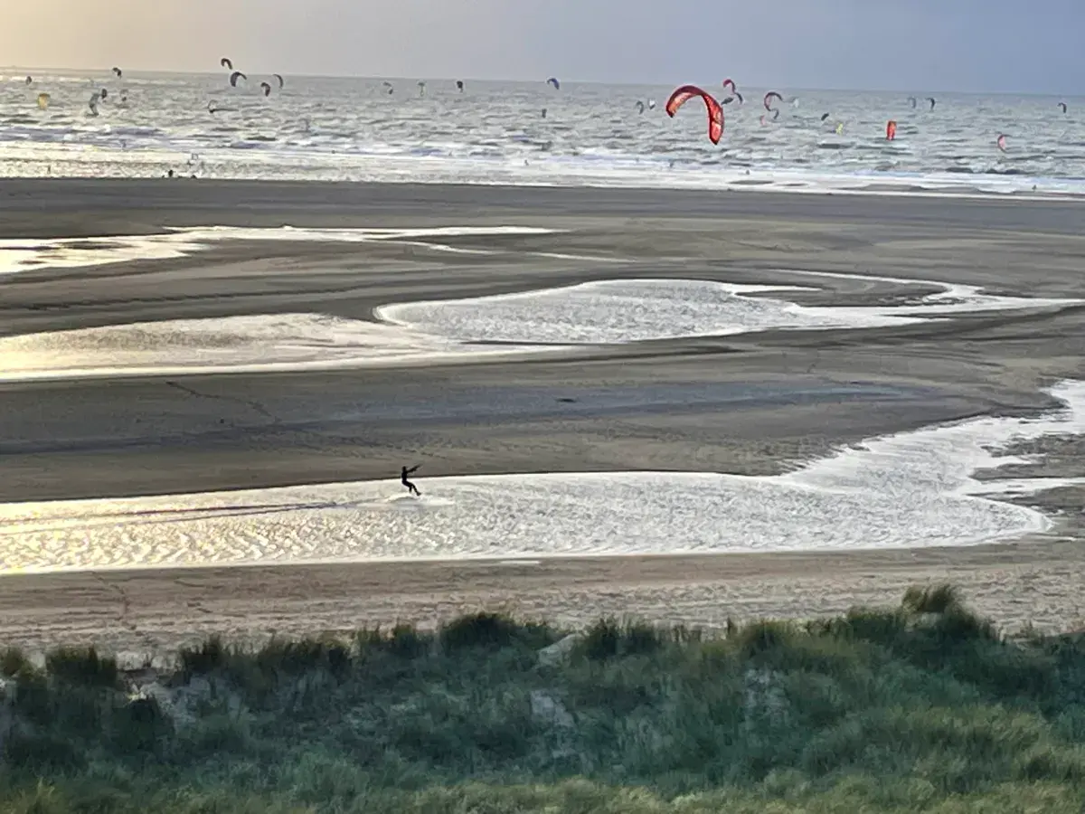 Spot de Slufter, Maasvlakte