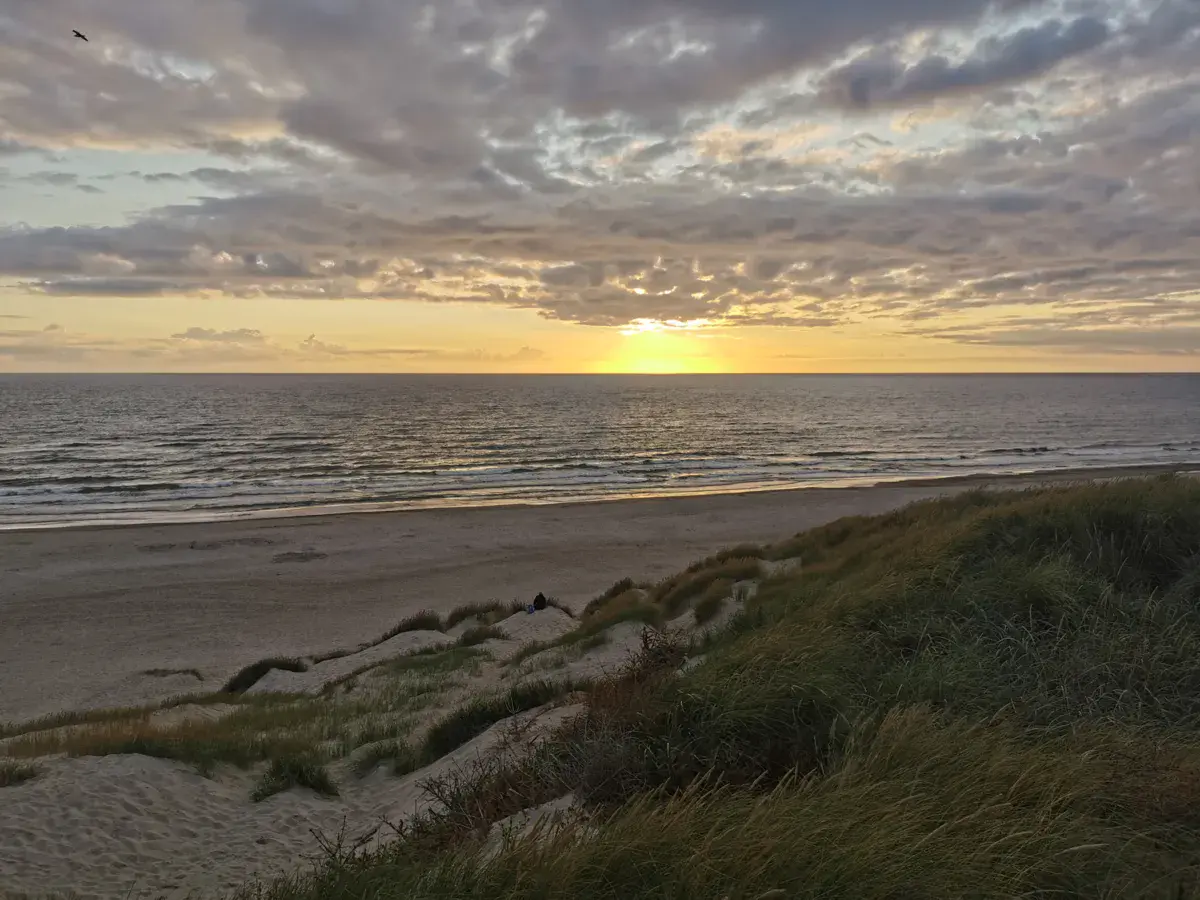 Spot de Årgab Nordsø