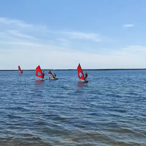 Planches à voile sur l'étang