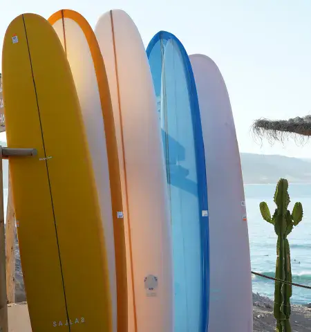Une partie du parc de longboards de location