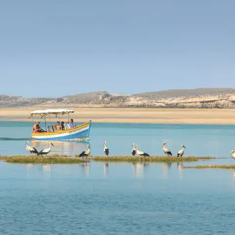 La lagune d'Oualidia et sa réserve d'oiseaux