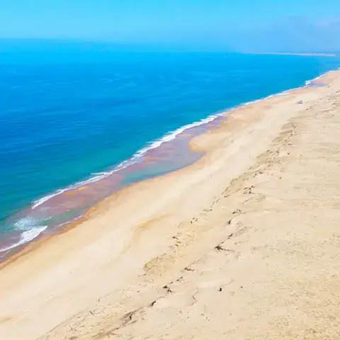 Plages et dunes des Landes